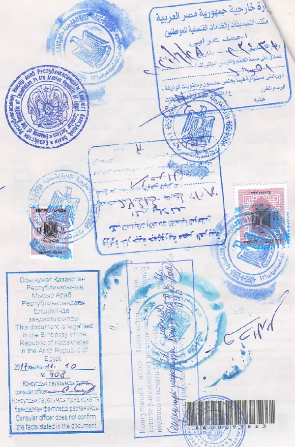 Мысырдағы консулдық заңдастыру