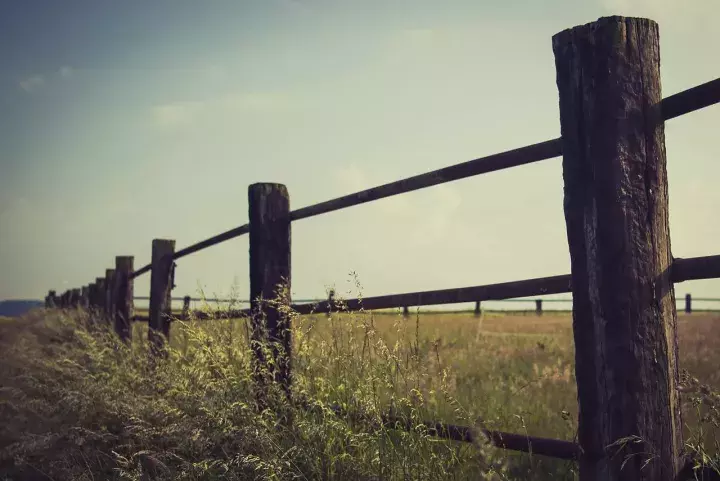 Молдова ТМД құрамынан шығу рәсімін бастайды.