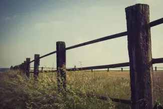 Молдова ТМД құрамынан шығу рәсімін бастайды.